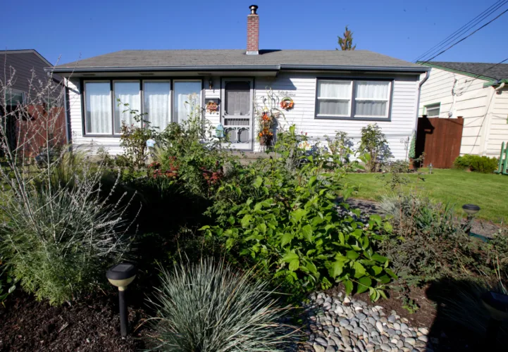 Rain gardens help handle today’s downpours. And they can be beautiful too